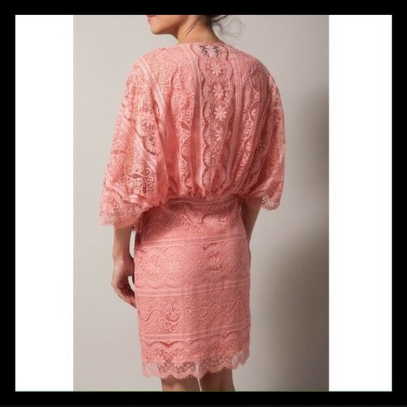Beyond Vintage Pink Lace Draped V Neck Mini Dress - Picture 2 of 12